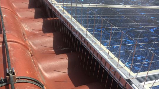 Taubenabwehr Spikes und Unterflugschutz an Solaranlage auf Dach montiert
